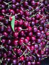 Bing Sweet Cherries 2 Lbs. - Sage Creations Farm