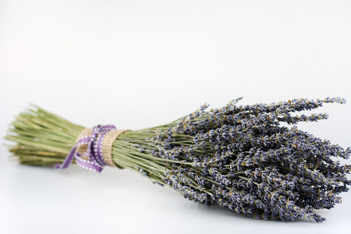 Dried Lavender Bundle - MAKE Collectives