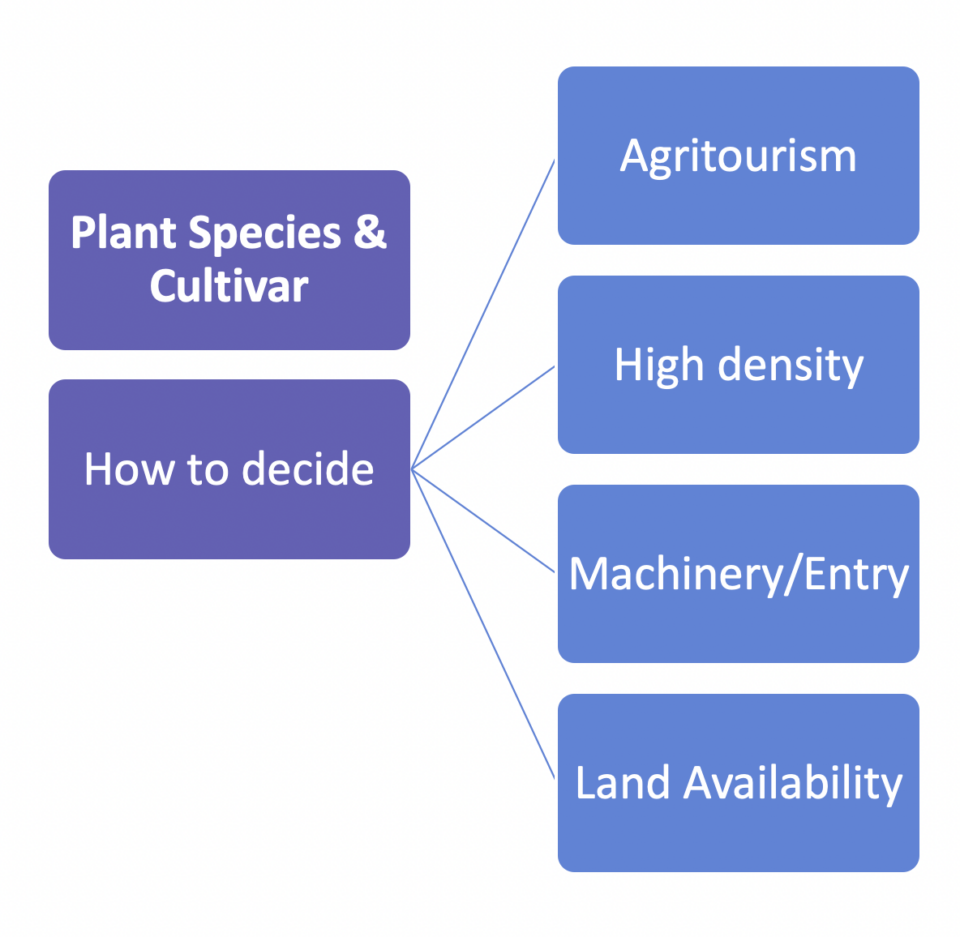 How to prep beds for planting lavender Sage Creations Farm