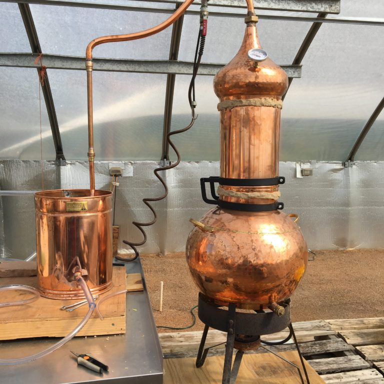 Distillation at home: Distilling herbs for hydrosol - Sage Creations Farm