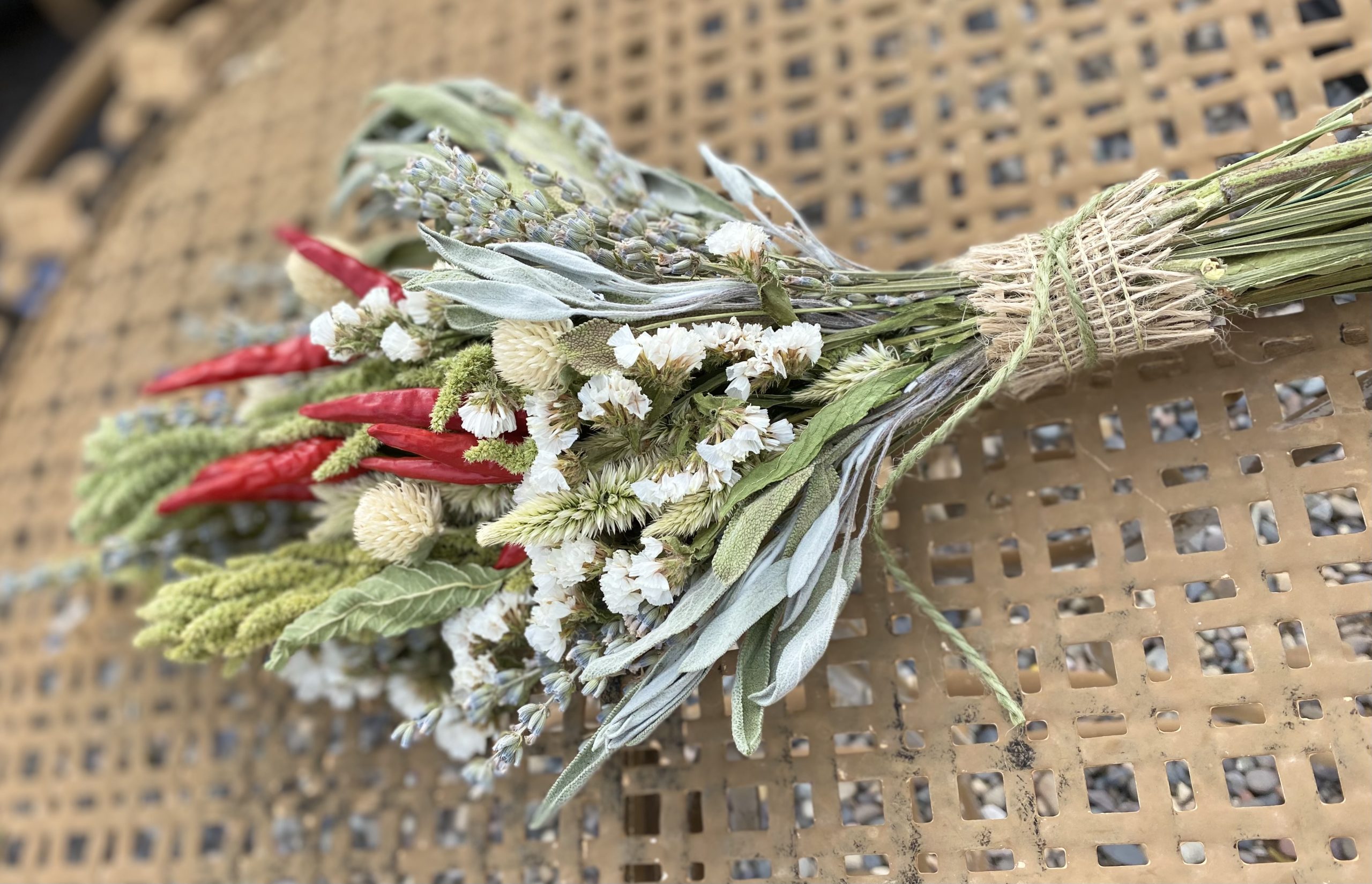 Dried Flowers — Plenty Flowers