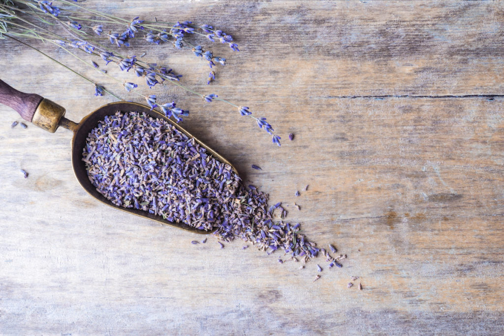 Lavender for cooking