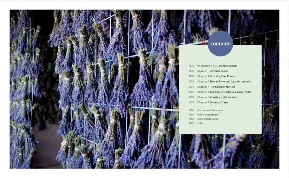 Lavender for All Seasons