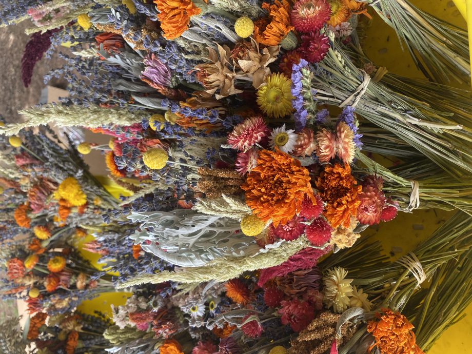 Seasonal Dried Crafter's Bundle - Mixed Flowers FALL