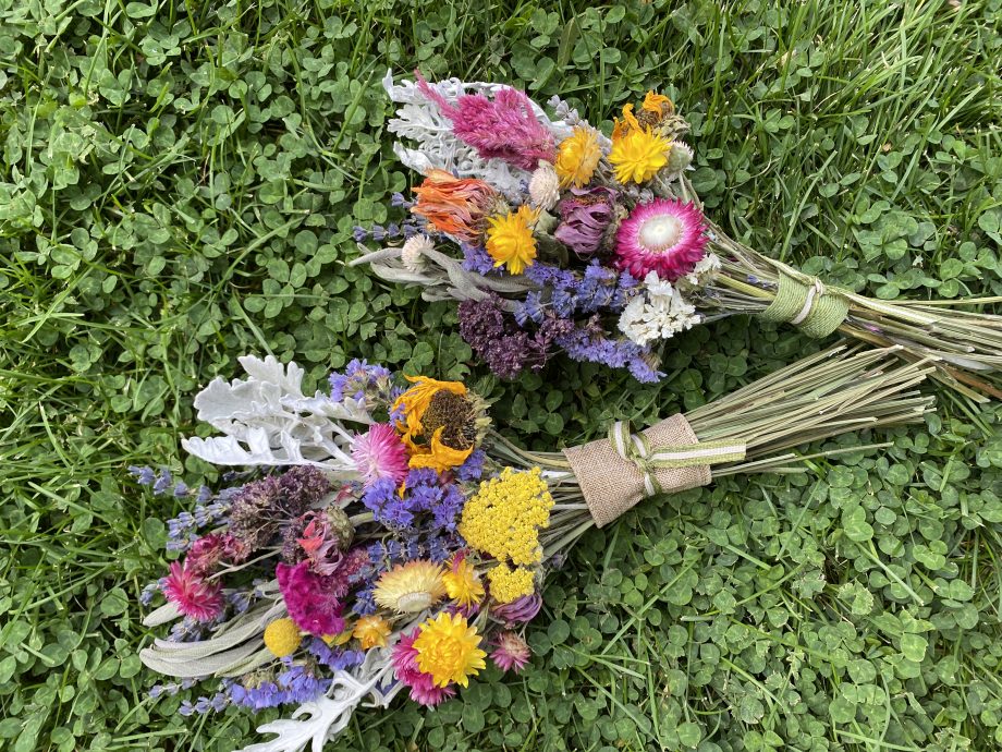 Seasonal Dried Crafter's Bundle - Mixed Flowers SUMMER