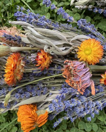Seasonal Dried Crafter's Bundle - Mixed Flowers FALL