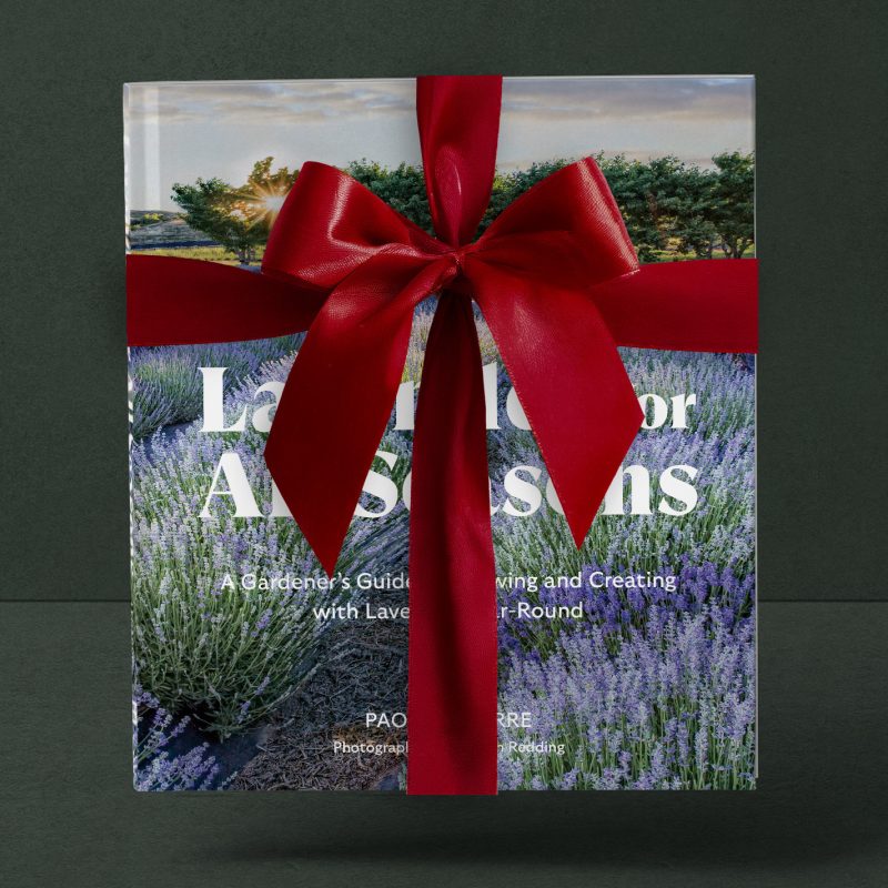 paolas-book-holiday-01 paolas-book-holiday-01