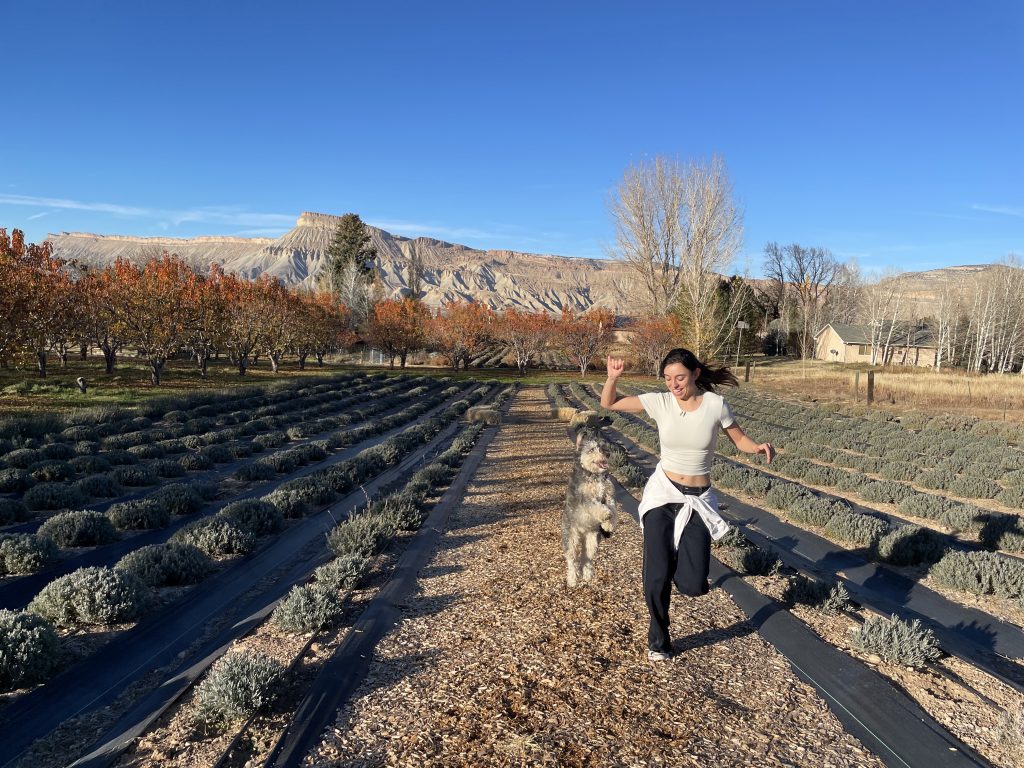 Growing with Lavender - Sage Creations Farm