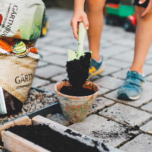 garden_club_square garden_club_square